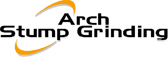 A black and white logo of the word " arch "