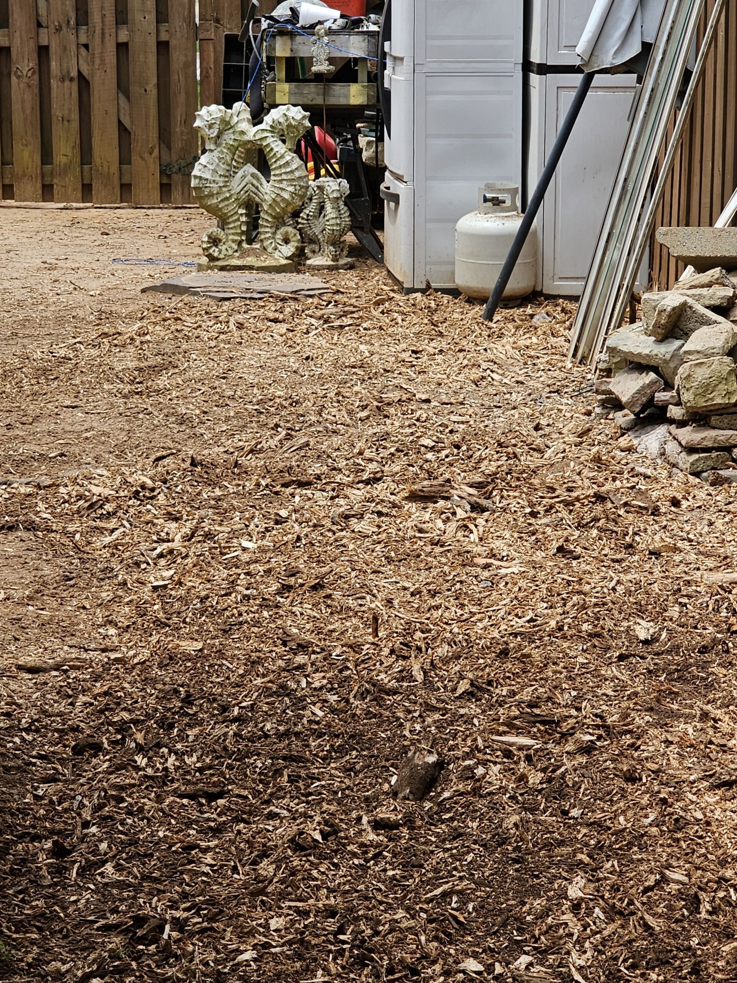 A fire hydrant and some wood chips in the yard